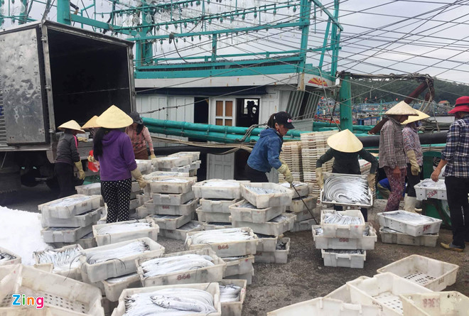 Ra khoi dau nam, ngu dan trung dam me ca ho hinh anh 7