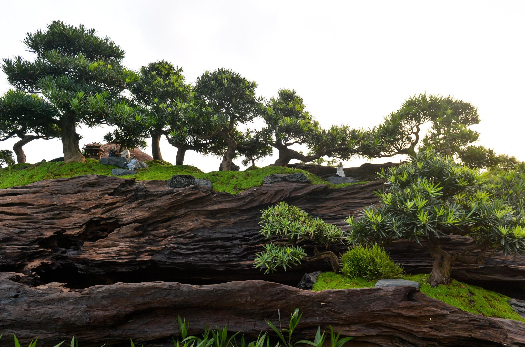 Doc dao bo tung la han gia 3 ty hinh anh 2 