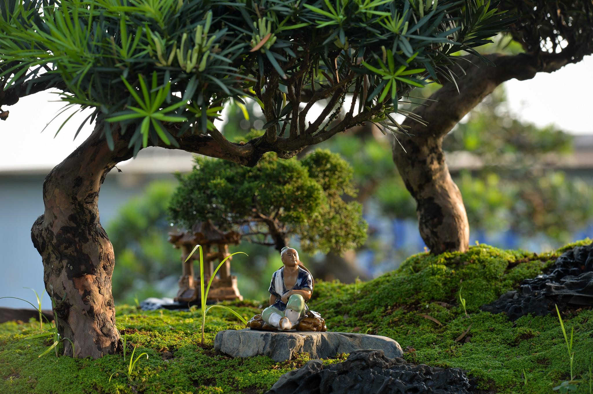 Doc dao bo tung la han gia 3 ty hinh anh 3 