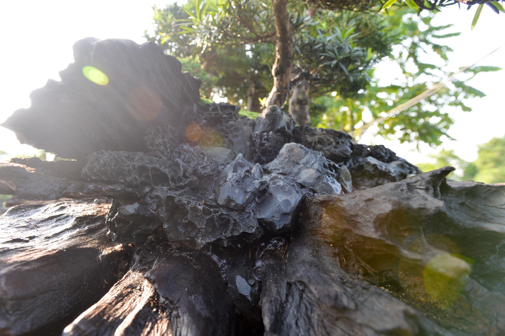 Doc dao bo tung la han gia 3 ty hinh anh 4 