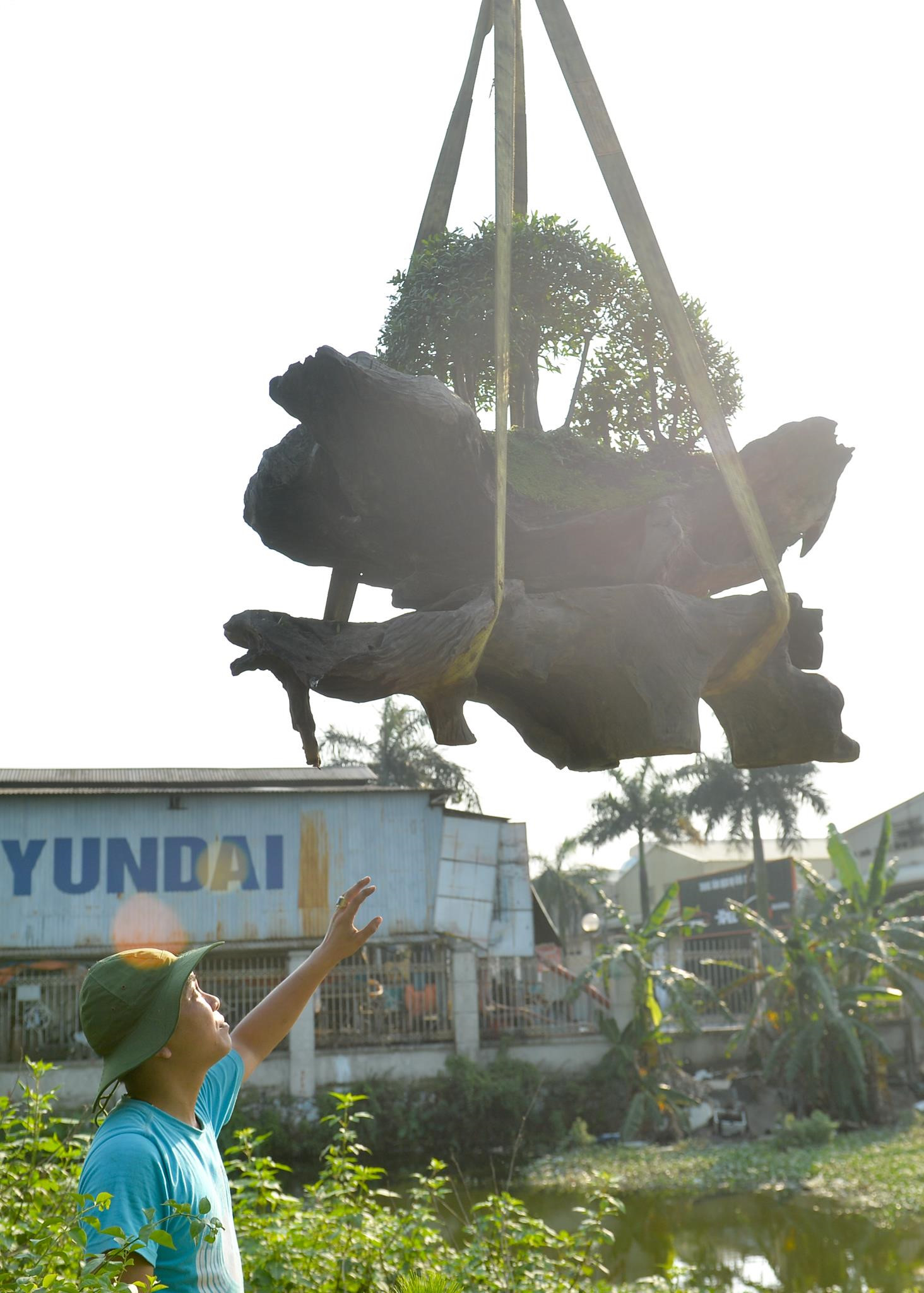 Doc dao bo tung la han gia 3 ty hinh anh 6 