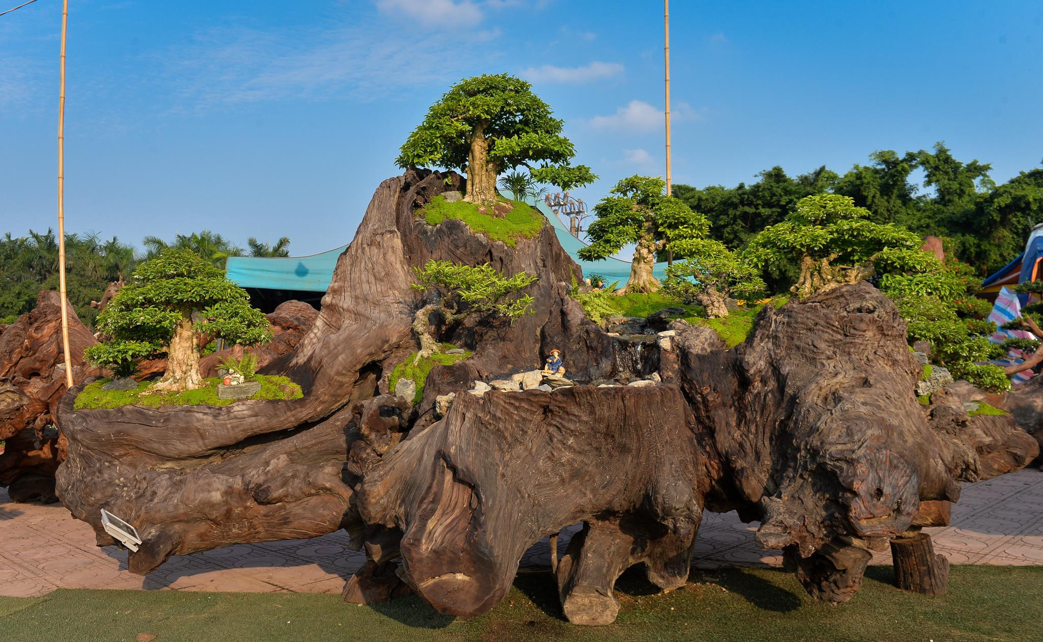 Doc dao bo tung la han gia 3 ty hinh anh 8 