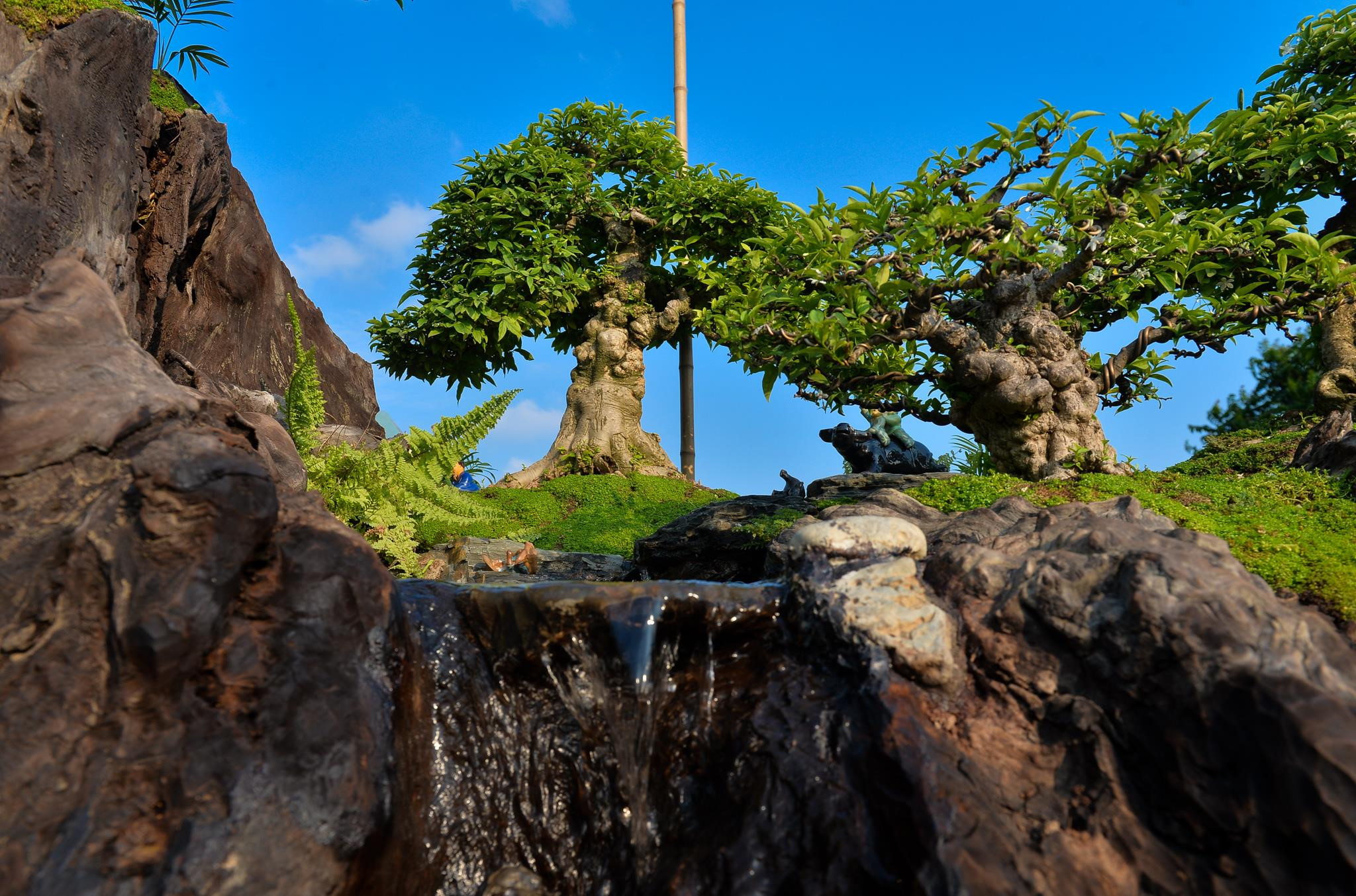 Doc dao bo tung la han gia 3 ty hinh anh 9 