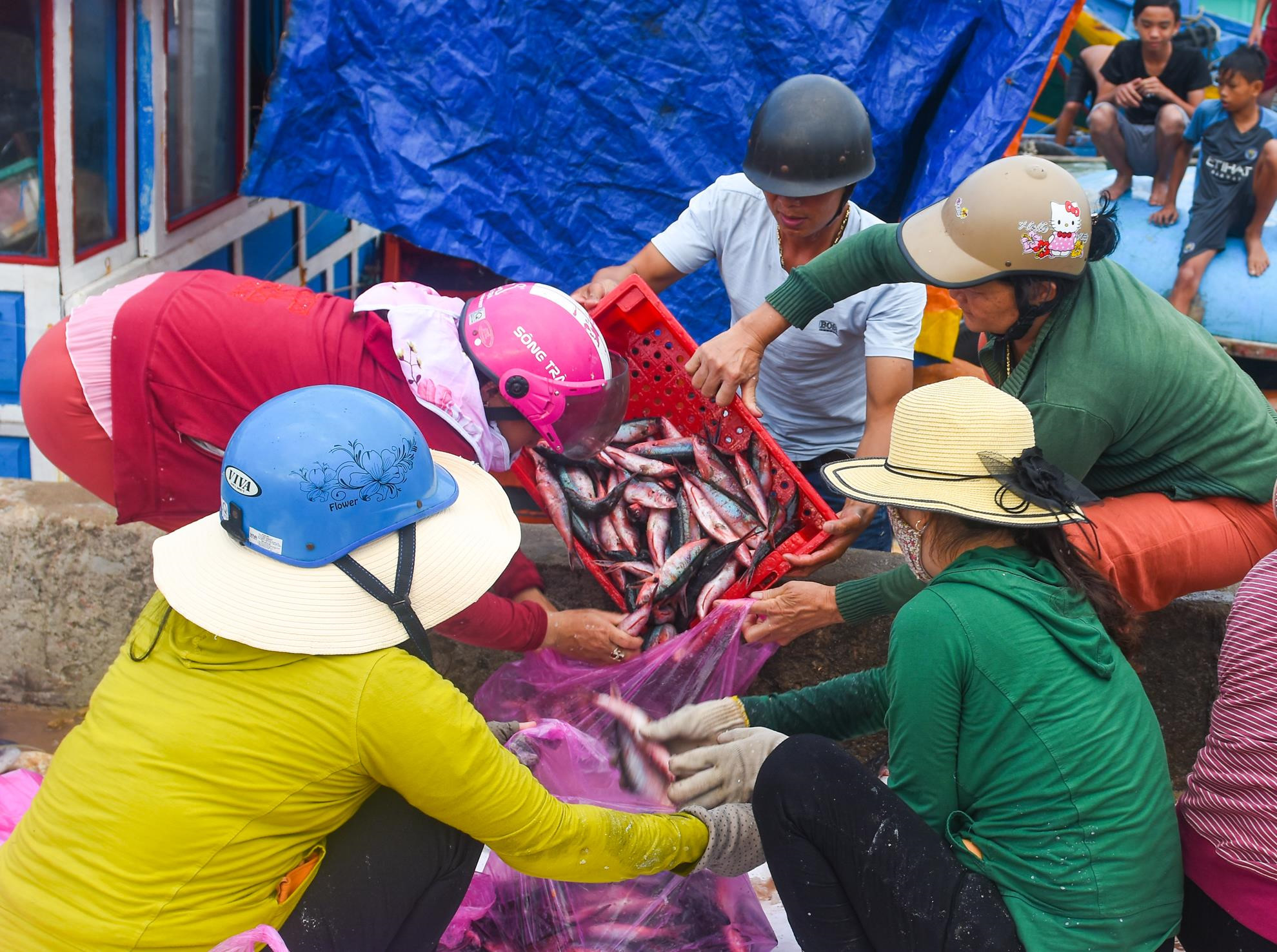 Ngu dan Ly Son trung dam me ca hon nua ty dong o Hoang Sa hinh anh 6 