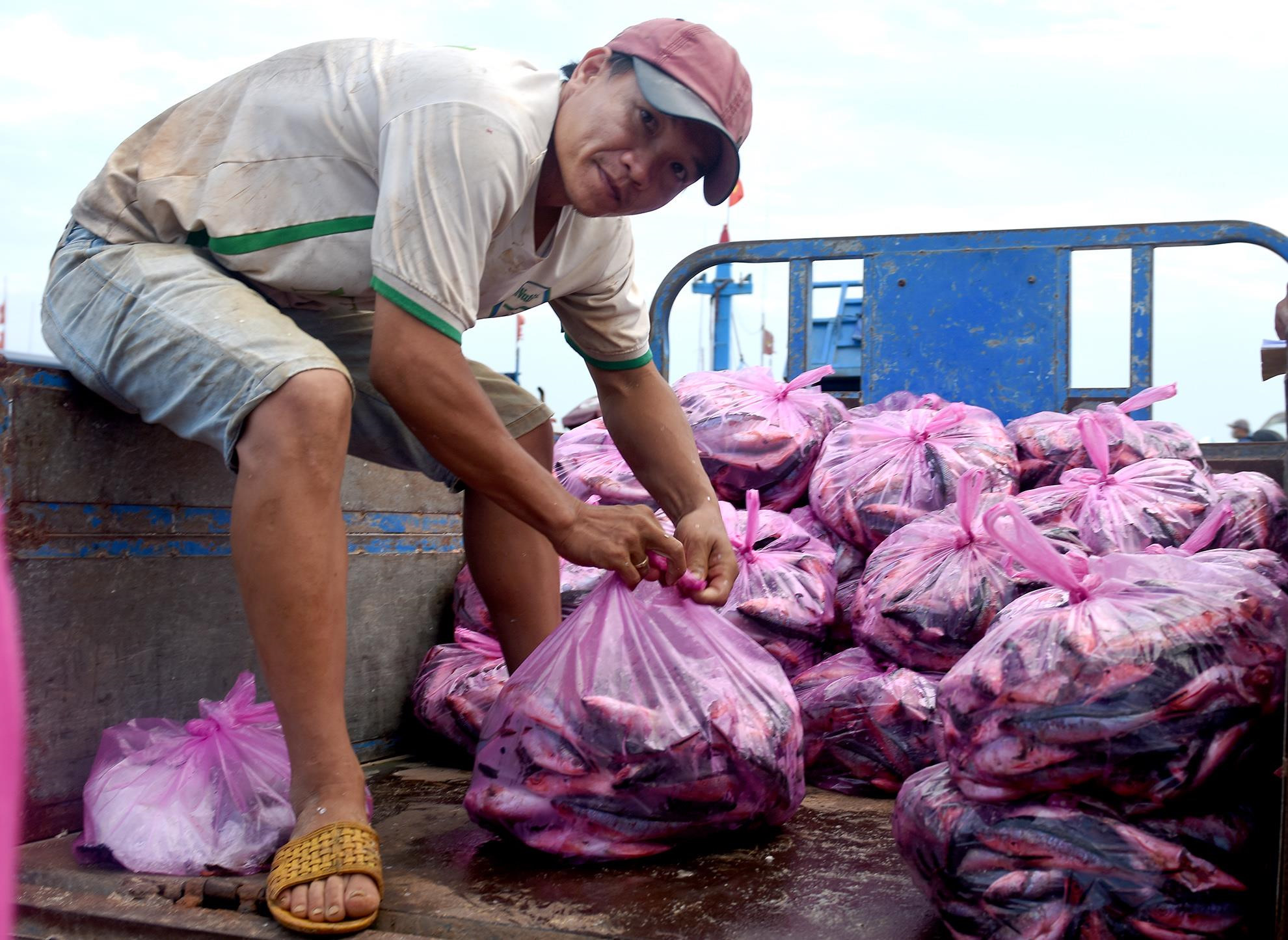 Ngu dan Ly Son trung dam me ca hon nua ty dong o Hoang Sa hinh anh 7 