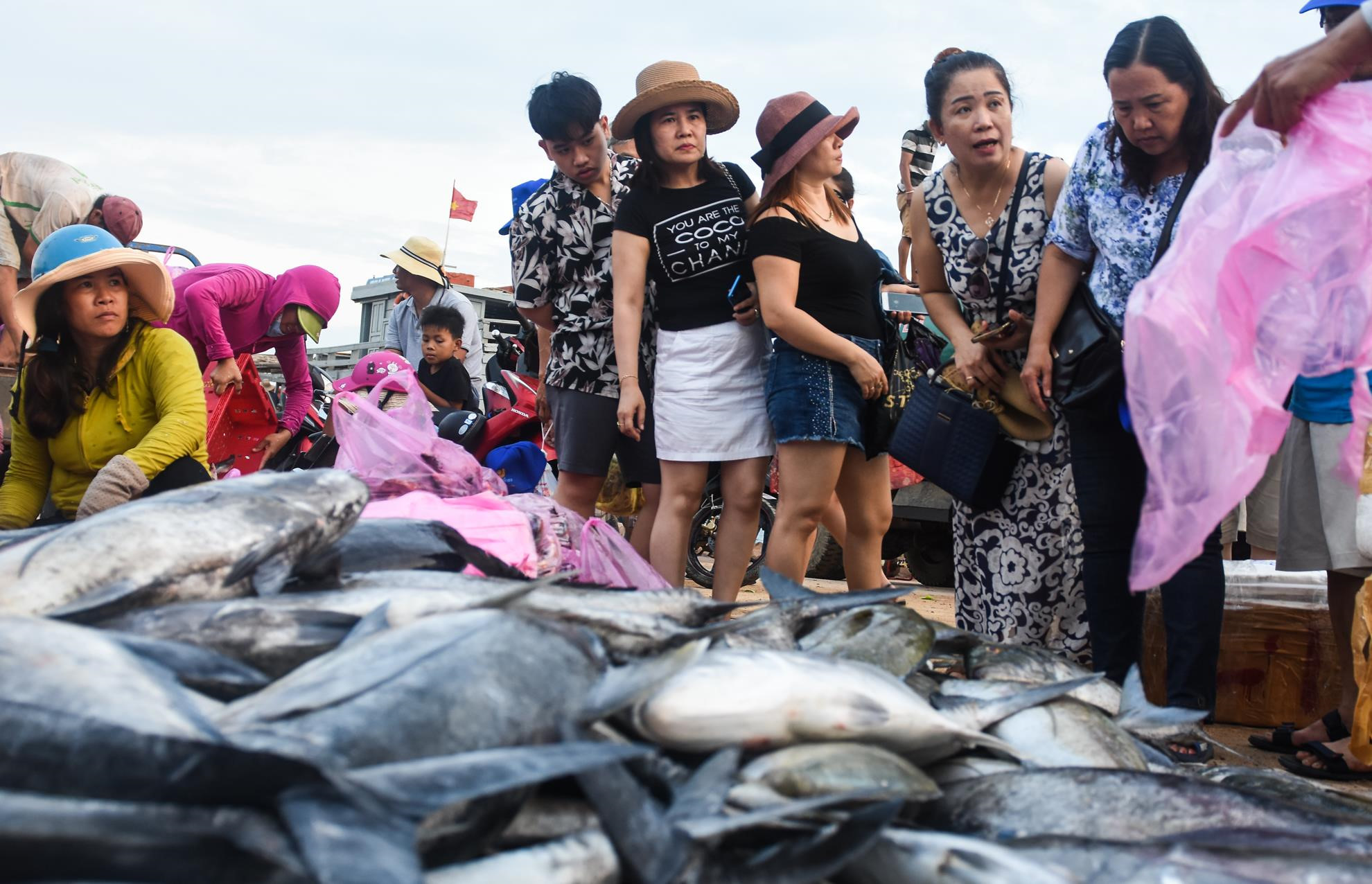 Ngu dan Ly Son trung dam me ca hon nua ty dong o Hoang Sa hinh anh 5 