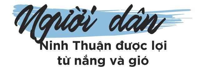Nha may dien mat troi lon nhat DNA va tiem nang phat trien Ninh Thuan hinh anh 28 