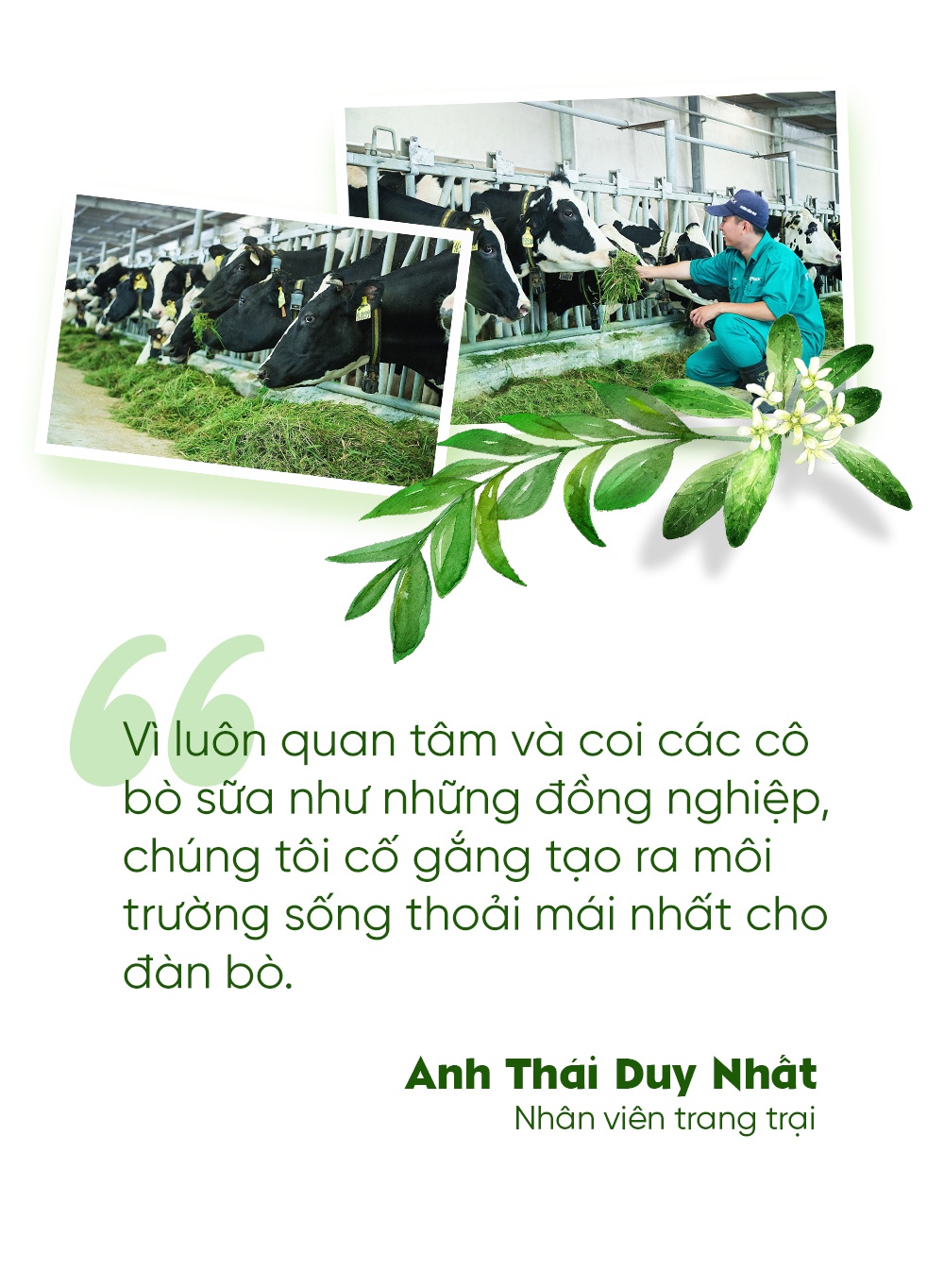 Bo sua o 'resort', an Tet kieu 4.0 hinh anh 3 